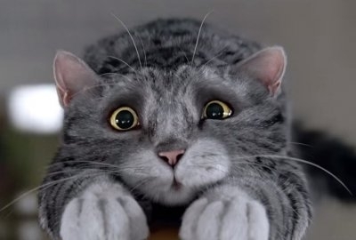 Різдвяний мультфільм про кішку-невдаху зібрав 8 млн переглядів, - ВІДЕО