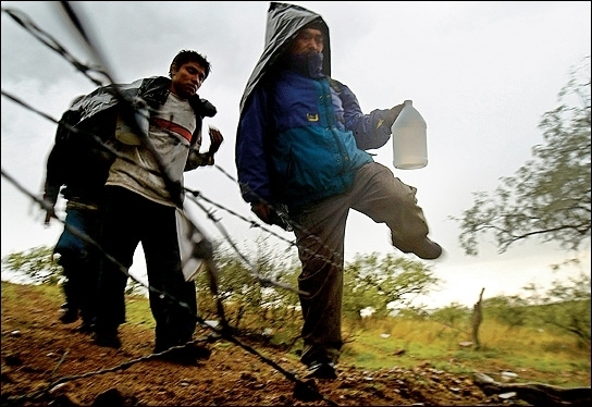 У Греції за незаконне перевезення мігрантів затримано 120 українців