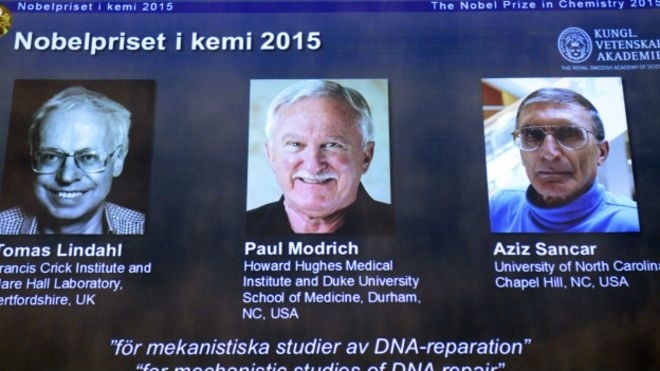Нобелевскую премию по химии вручили за восстановление ДНК