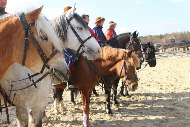 Под Киевом пройдет невероятное шоу с лошадьми