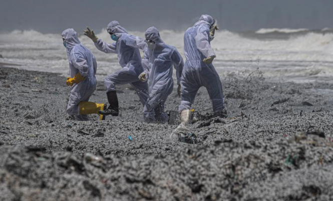 На Шрі-Ланці заявили про найбільше забруднення пляжів
