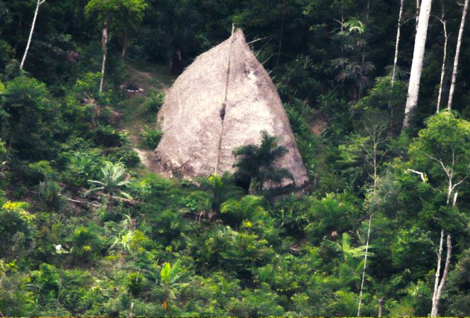 У лісах Амазонки зняли плем'я індіанців, яке раніше не вступало в контакт з цивілізацією