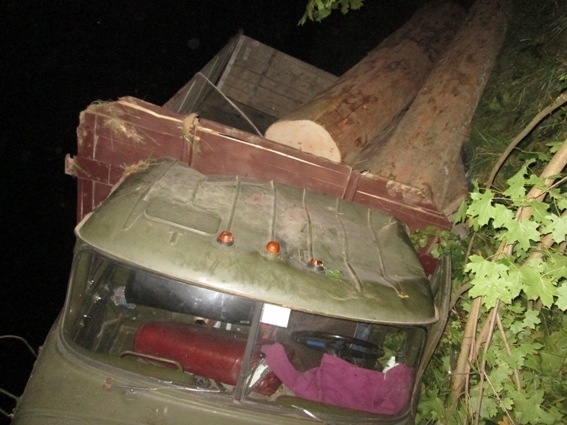 На Закарпатті перекинулася вантажівка з краденою деревиною: є загиблі
