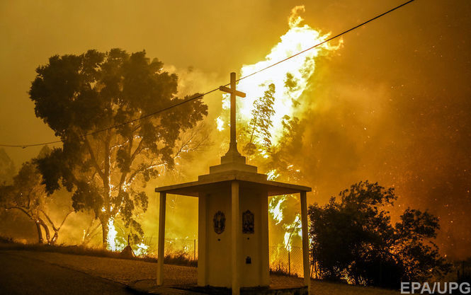 Жертвами пожеж у Португалії стала вже 61 особа