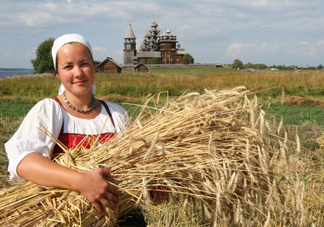 Вже наступного року Україна може розпочати експорт пшениці та ріпаку до Китаю