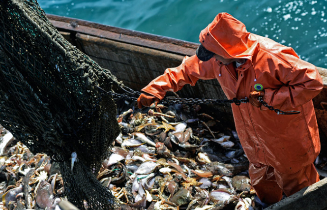 Украина не сможет рыбачить в Азовском море без соглашения с Россией, - Госрыбагентство