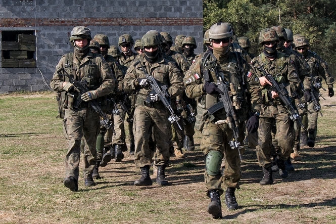 Військову бригаду України, Польщі та Литви можуть створити вже у другому півріччі 2015 року