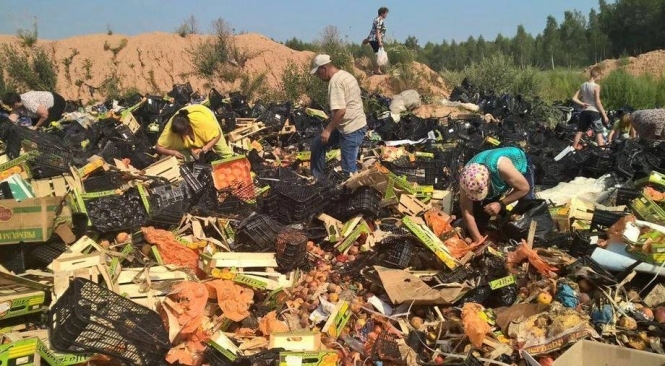 В России после уничтожения санкционной еды люди собирают то, что осталось, - фото