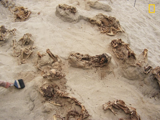 Ритуальні жертви: Археологи натрапили на масове поховання дітей у Перу