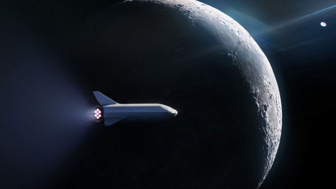 SpaceX выбрала первого космического туриста для полета вокруг Луны