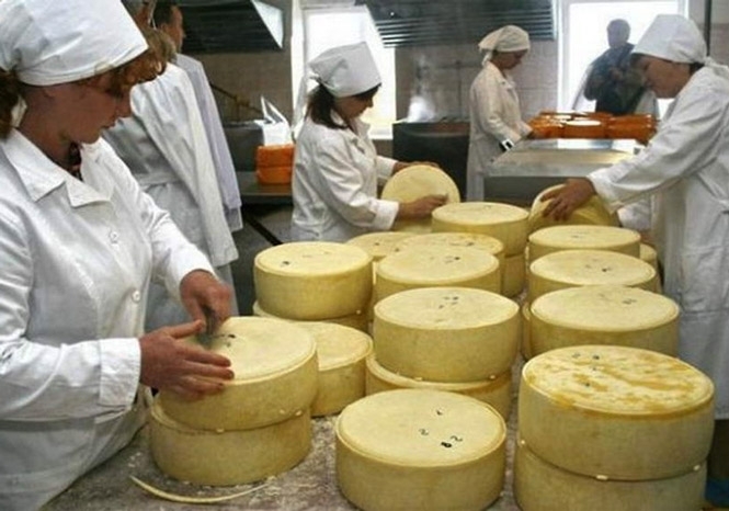 Россия запретила импорт сырных продуктов с Украины