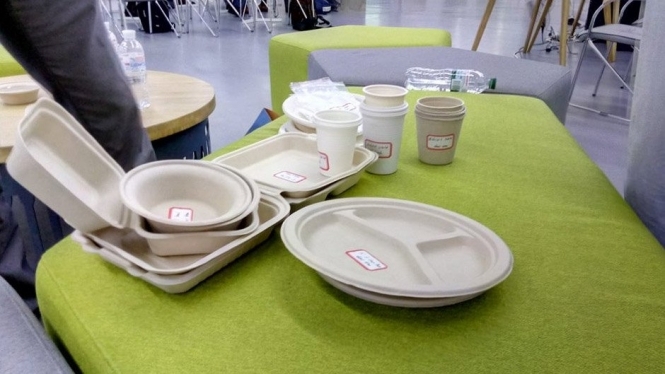 Украинцы представили проект изготовления экологической одноразовой посуды