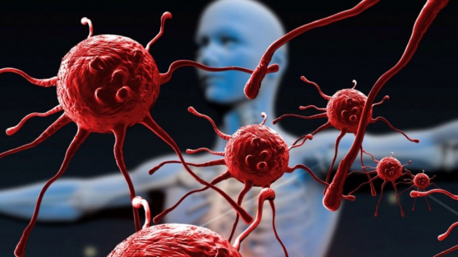 У Німеччині перший випадок коронавірусу, в Чехії з підозрою госпіталізували 3 осіб
