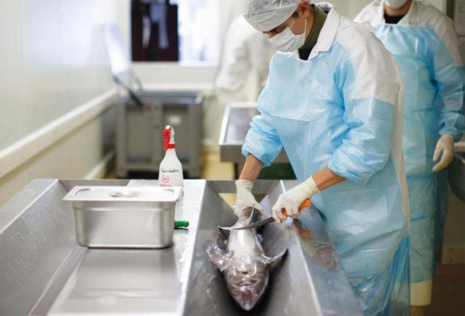 Росія заборонила імпорт рибної продукції з Латвії та Естонії