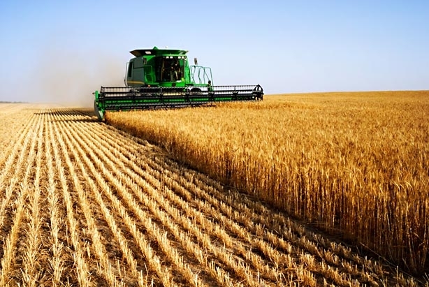 Иран может приобрести в Украине $1,5 млрд. сельскохозяйственной продукции