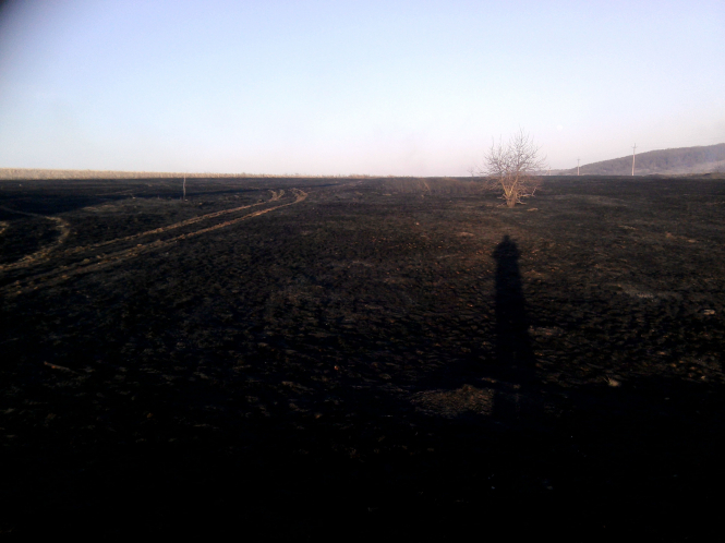 На Луганщині вогонь знищив 20 тонн зерна, – ВІДЕО
