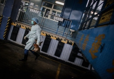 У Китаї зафіксовано перший випадок зараження людини пташиним грипом H7N4