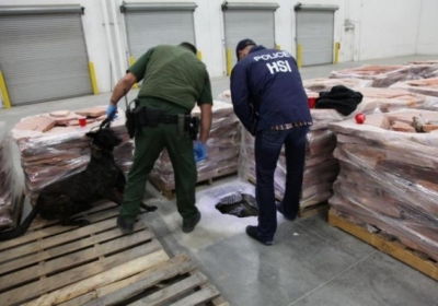 На границе США и Мексики полиция обнаружила 