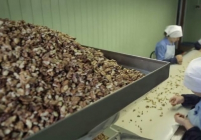 На коррупционных схемах экспорта орехов налоговая зарабатывает $200 млн в год, - видео