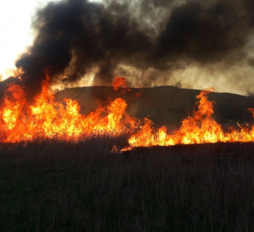 Рятувальники попереджають про надзвичайну пожежну небезпеку на території України