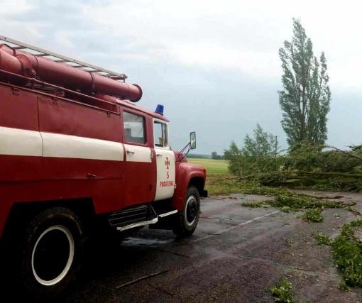 На Рівненщині повалені через буревій дерева заблокували 11 кілометрів дороги, – ФОТО