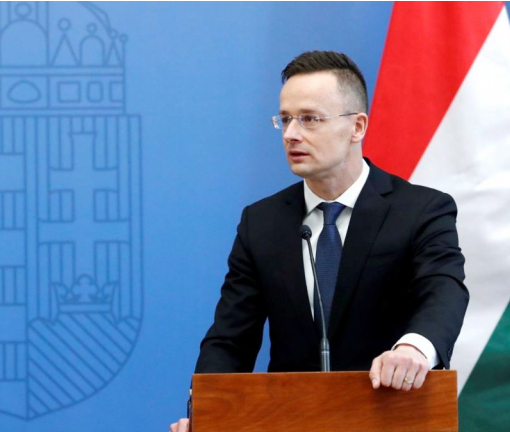 Венгрия продолжит реабилитацию украинских военных и будет принимать детей на отдых
