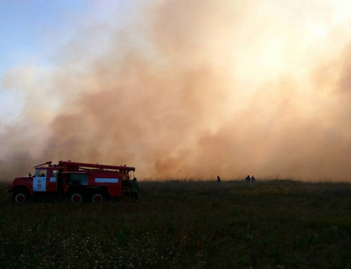 У Полтавській області горять 70 гектарів торфовищ, – ФОТО