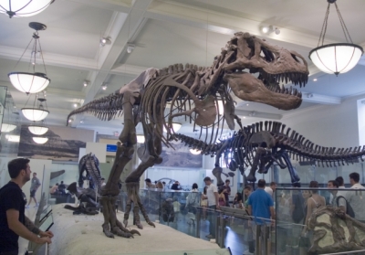 Мексиканці розкопали кістки динозавра віком у 70 мільйонів років