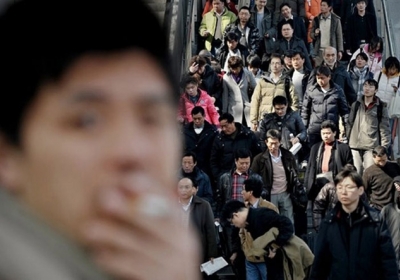 Смертельне нашестя: в Китаї від укусів шершнів померло 40 осіб