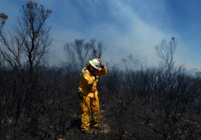 Австралія. Лісові пожежі. Фото: AFP