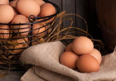 Оптові ціни на яйця впали на 10% – Мінагрополітики 