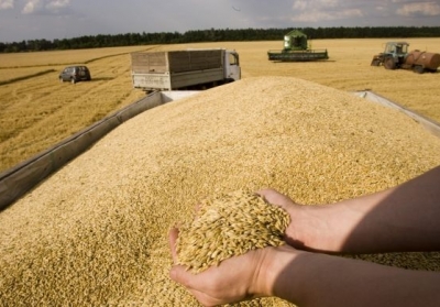 Продаж зерна приніс Україні $6,4 мільярда доларів
