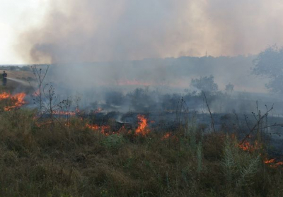 У Миколаївській області спалахнула масштабна лісова пожежа