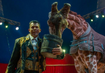 Мінкульт планує заборонити використання тварин у цирках