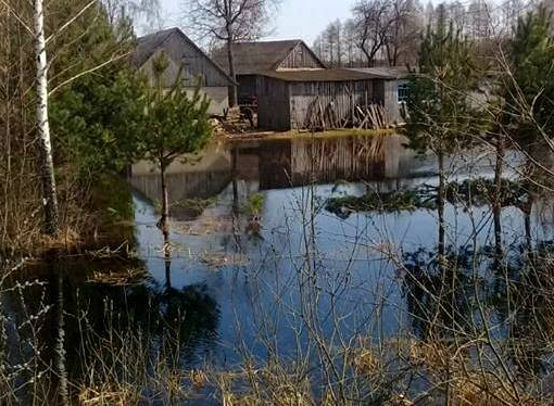 Бобри підтопили село у Волинській області