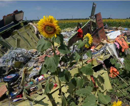 Родини жертв катастрофи MH17 просять Трампа домогтися від Путіна правди