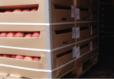 На полігоні у Росії знищили 60 тонн санкційних яблук з Польщі