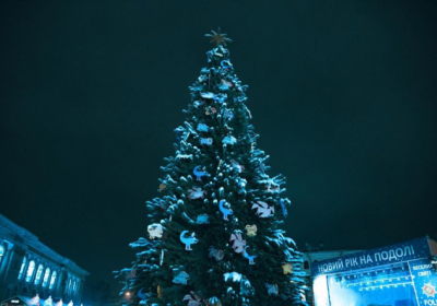 Мэр французского Бордо хочет отказаться от новогодней елки