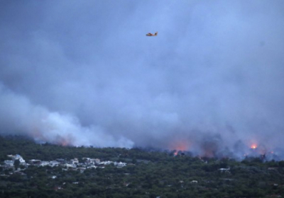 Кількість загиблих від лісових пожеж у Греції перевищує 60 осіб
