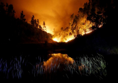 Лісові пожежі у Португалії: вже 57 загиблих, - ОНОВЛЕНО