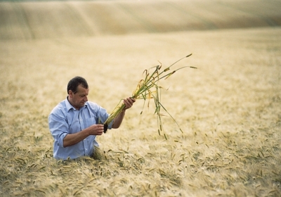 Через кримський конфлікт у світі зростають ціни на зернові