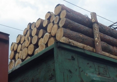 На Львівщині активісти блокують потяг з контрабандною деревиною