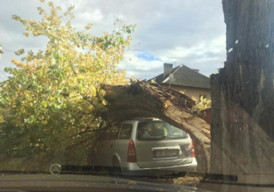 В Ужгороді сильний вітер повалив дерева: пошкоджено автівку і вибито вікна