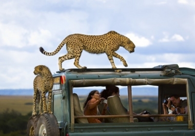 3 місце. Фото: Yanai Bonneh Місце: Національний парк Масаї Мара, Кенія