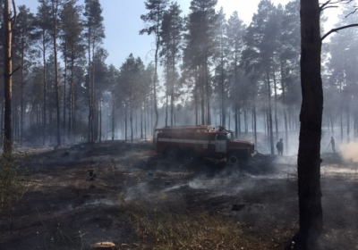 У лісництві на Херсонщині пожежа площею понад п'ять гектарів
