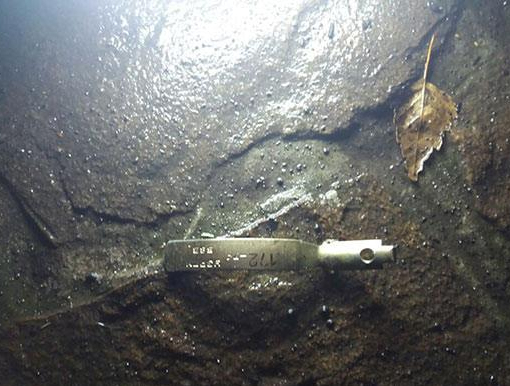 На подвір'я житлового будинку в Харкові кинули гранату