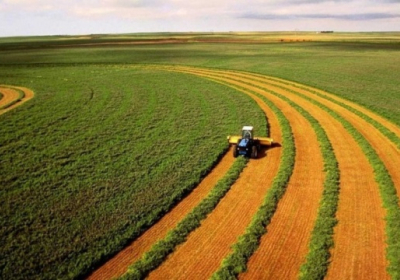Світовий банк виділить Україні $700 млн на сільське господарство