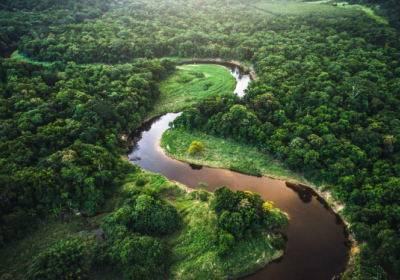 Ліси Амазонії за останнє десятиліття виділили майже на 20% більше вуглекислого газу, ніж поглинули 