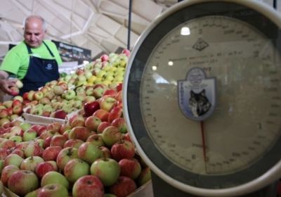 Україна в 2016 році встановила рекорд по експорту яблук в Європу