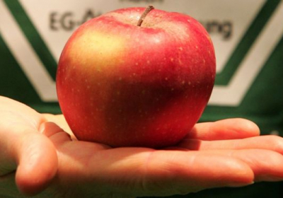 Американку оштрафували на $500 за винесене з літака безкоштовне яблуко